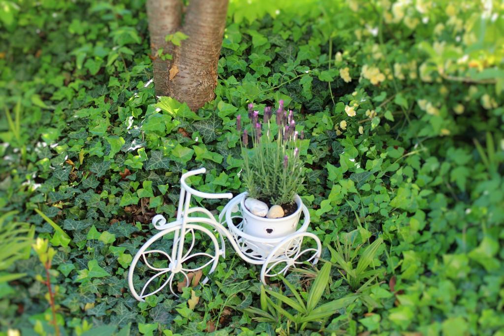 Gartenresidence Stephanie By Hotel Rotwand Laives Dış mekan fotoğraf